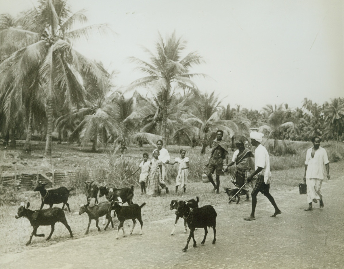 Malayan Natives Don’t Like Japs, 2/11/1942. Malaya—Malayan natives, with their possessions, are shown moving along, out of possible reach of the Japanese.  Japanese forces outside the city of Singapore are meeting strong resistance from Imperial troops.Credit Line (ACME);