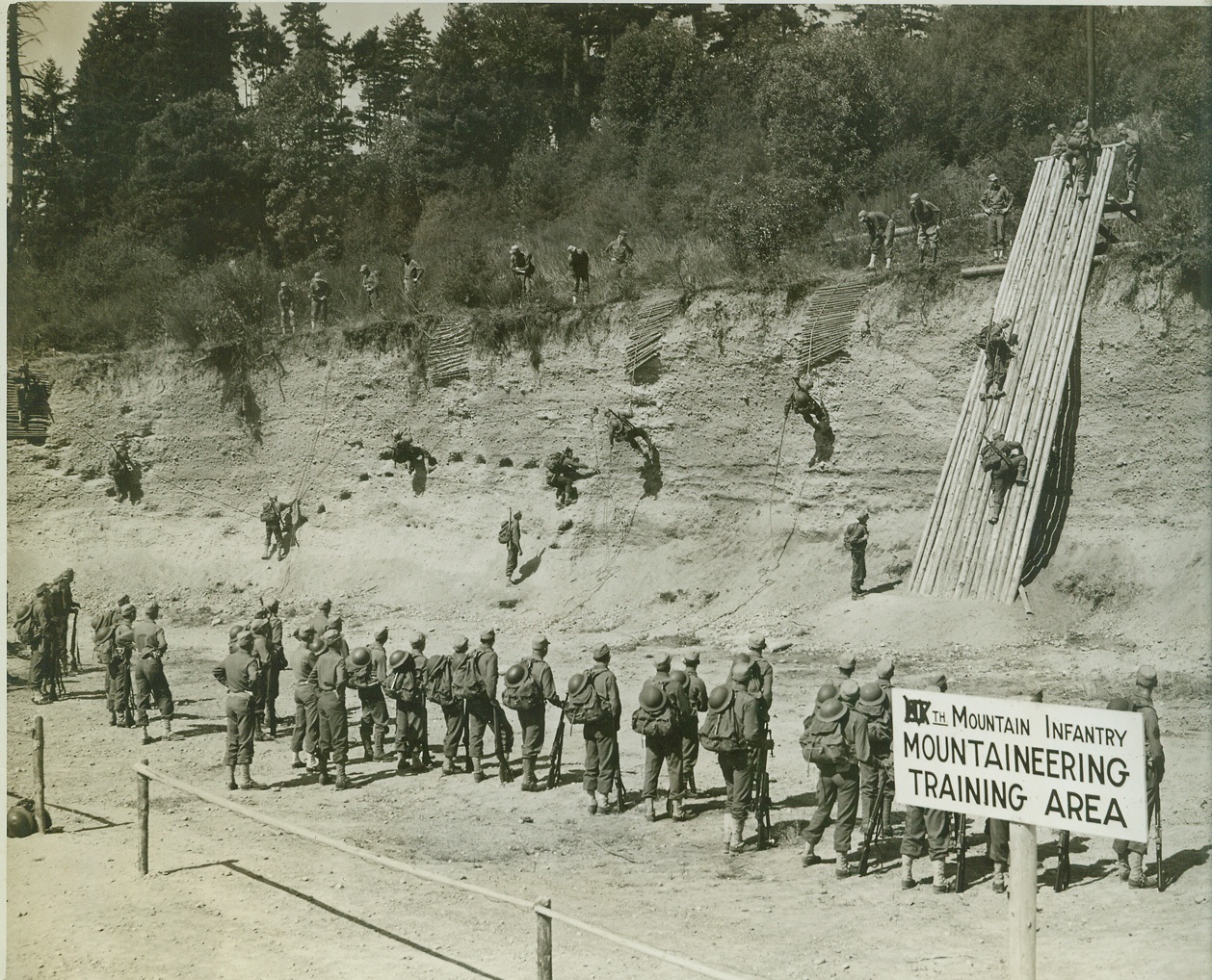 SKI TROOPS IN WINTER – MOUNTAINEERS IN SUMMER, 8/16/1942. PACIFIC NORTHWEST – A new branch has been added to Uncle Sam’s Army – A full-fledged “Mountain Regiment”, with 1,400 men who are undergoing a rigid and specialized training program. Last winter these same men formed the first organized ski troop battalion in the U.S., but now that the ice and snow has given way to summer heat and dust they are being developed into a regiment intended as a nucleus for similar units of mountain infantry. The regiment’s Commanding Officer, Col. O. S. Rolph, inaugurated the ski patrol and today personally supervises every phase of the thorough training of the “Mountaineer Infantry”. These photos, taken at the Mountaineering Training Area, show some phases of the training. At the Mountaineering Training Area the men scale the steep sides of a gravel pit and almost vertical wooden climbing ramps, 40 feet high and nicked at widely-spaced intervals with an axe to give toe and finger holds. Credit: OWI Radiophoto from ACME;