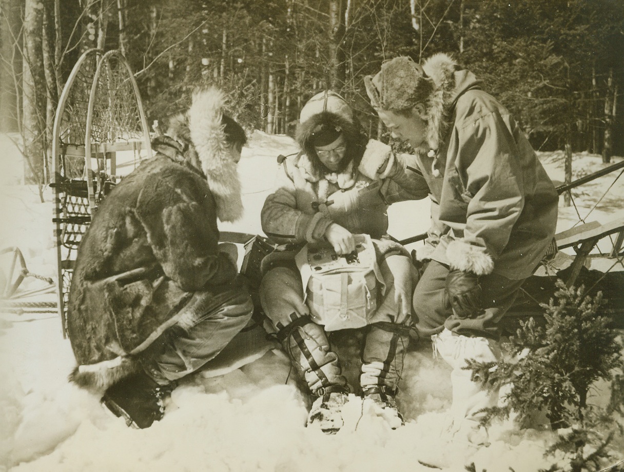 Rescuing Crashed Fliers in the North, 3/7/1944. Manchester, New Hampshire -- To rescue pilots and crewmen of planes forced down in arctic or semi-arctic country, the Search and Rescue section of the North Atlantic Wing of the Air Transport Command has been organized. Equipped and trained to cover difficult terrain in all kinds of weather, the base camps of the section are always ready to answer call for assistance. This series of photos taken at a Search and Rescue section base camp at Manchester shows how a crashed flier is rescued. While this was not an actual case of answering a distress call, the instance was carefully staged to follow the procedure of a typical rescue.  New York Bureau Now the Siberian Husky dogs are sent down the rope to lower ground. When dogs, sled and “injured” man have been lowered, the party (now augmented by a second rescue party brought to the scene by a portable radio), sets off for the base.;