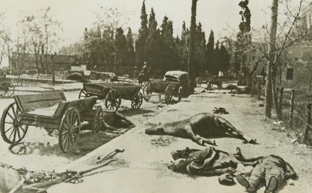 Death—At a Summer Resort, 4/26/1944. Alusha, Russia—When Red Army forces drove the Germans from this once-famous Russian summer resort, they found a scene of desolation and death. Here, abandoned German supply wagons line the curb of one of the streets of the town, while on the sidewalk are the corpses of Nazis and horses. (Passed by censors) Credit: ACME radiophoto.;