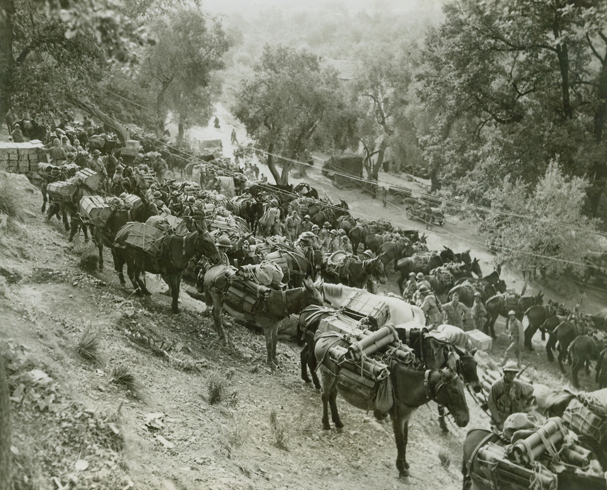 First Original Photos Of Latest Italian Drive, 5/18/1944. This is one of the first original photos to be received from the Italian Front since the start of the new allied drive.  The Picture was made on May 13th and despite the various channels fo censorship and transportation problems they were in Washington, D.C. by the afternoon of May 18th.  It is believed that a new record has thus been established for the expediting of news pictures by the army.  PHOTO SHOWS—Hard in the wake of  the French forces passing through Castleforte on the Fifth army front comes long lines of ammunition food and other supplies going forward to forward echelons and frontline infantrymen.  The photo was made north of the Garigliano River, not far from the first important objective gained on the second day of the offensiveCredit:  Acme Photo by Charles Seawood for the War Picture Pool;