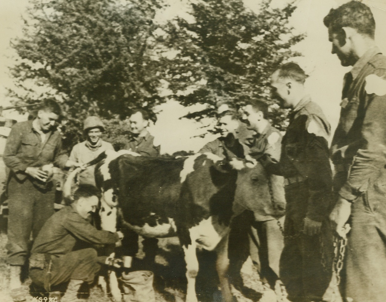 Milk Factory, 6/18/1944. Somewhere in France - Laughing G.I.s hold their cups ready as Private Robert O’Berg fills ‘em up in a field somewhere in France. Knowing how to milk a cow is a short cut to popularity in our Armed Forces, for the fighting Yanks don’t get milk in their c-rations, and they’ll take all of the creamy beverage they can get. Credit: Signal Corps Radiotelephoto from ACME;