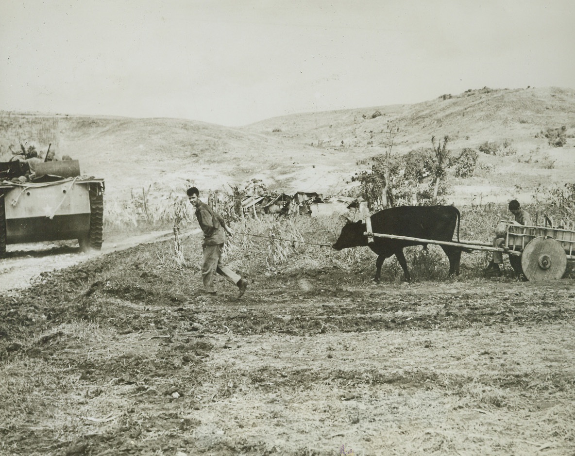 The Old and the New, 7/1/1944. Saipan—In marked contrast to scenes of death and destruction marking the bitter fighting on Saipan in which 9,752 American soldiers were killed, wounded or listed as missing in action, is this peaceful scene showing two modes of transportation over a thousand years apart.  Marines in amphibious tractor at left are hauling supplies to front lines while two Leathernecks commandeer a Jap ox cart to move some of their equipment forward.Credit (Marine Corps photo from ACME);