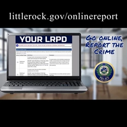 Online Reports
